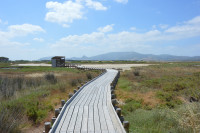 Stagni di Marceddì e Corru S'Ittiri